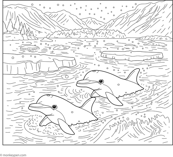 Dolphins in the Arctic Colouring Page