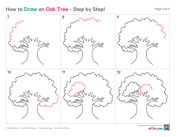 Simple oak tree line art for children