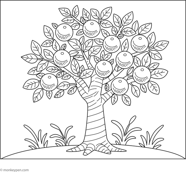 Orange Tree Coloring Page