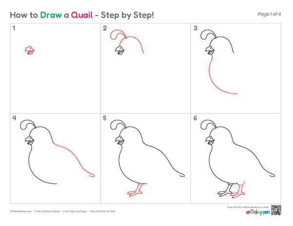 Cute and easy Quail drawing for children