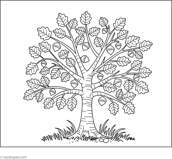 Downloadable Tree Coloring Book