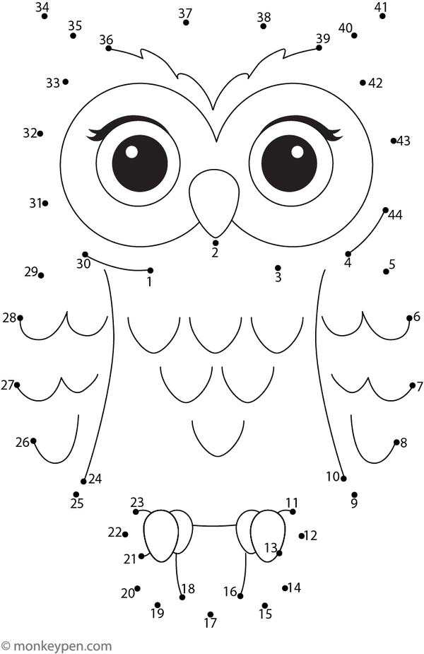 A wide-eyed owl is revealed as children join the dots in sequence.