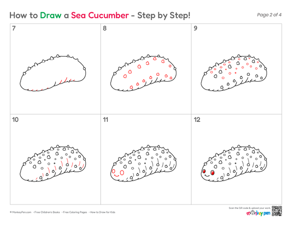 Simple sea cucumber sketch
