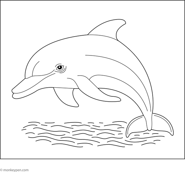 Ganges River Dolphin Coloring Page
