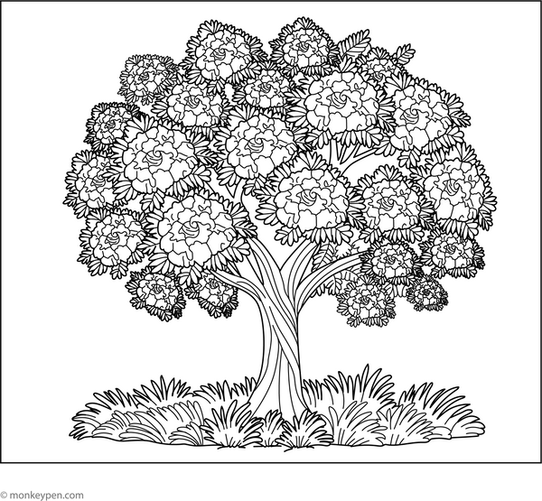 Downloadable Tree Coloring Book