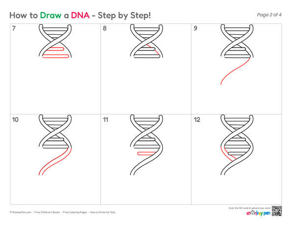 Children's science drawing activity showing how to draw DNA easily.