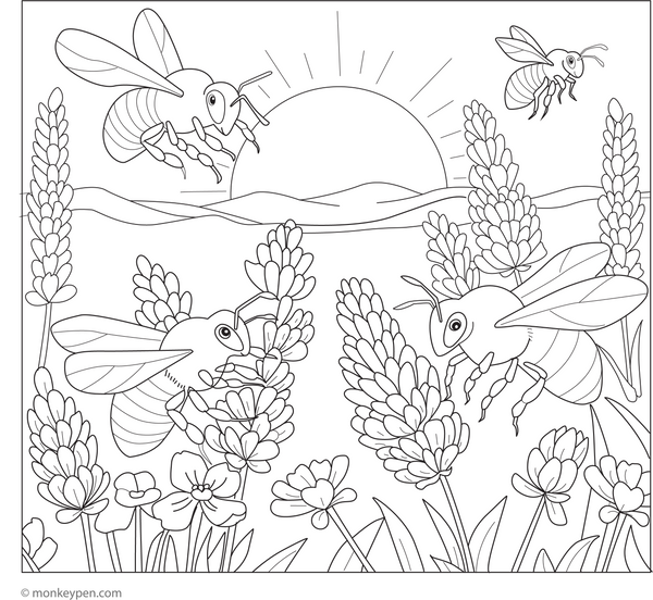 Bees in Lavender Garden coloring page – free printable for kids to color and enjoy