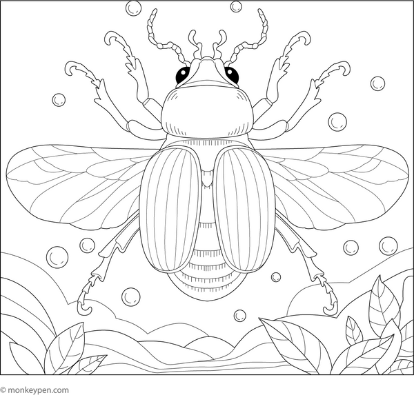 Free Beetle Coloring Book PDF
