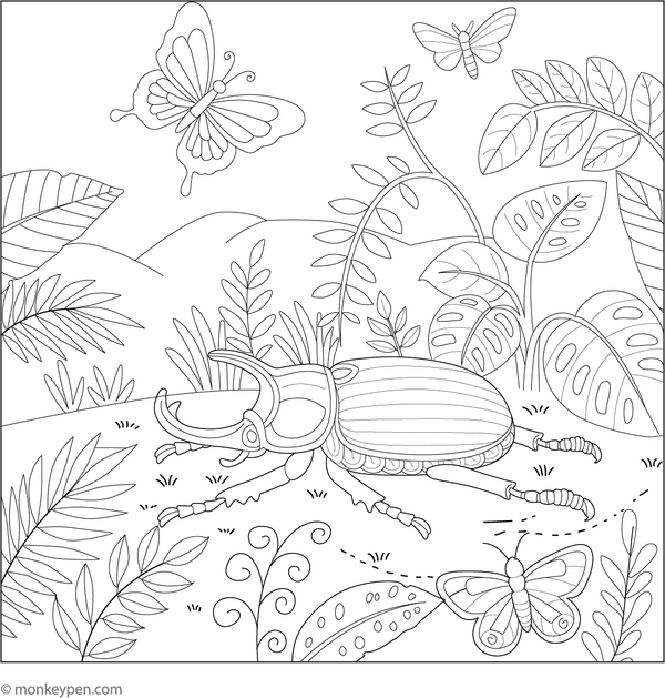 Free Beetle Coloring Book PDF