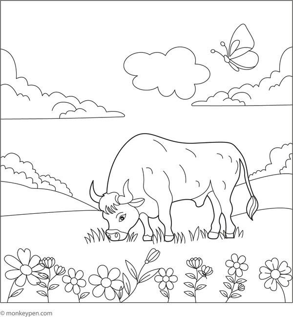 Downloadable Bull Coloring Book