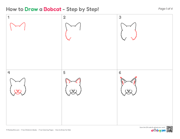 Easy Bobcat sketch for kids