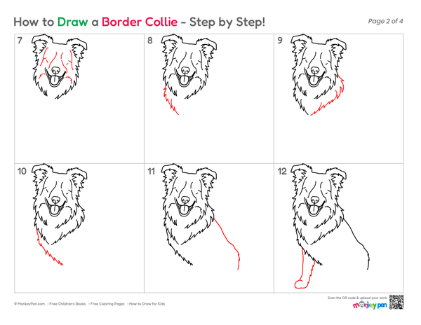 How to Draw a Border Collie – Step-by-Step Dog Drawing for Kids