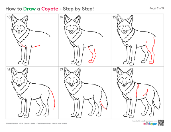 Coyote drawing showing alert ears and a curious expression.