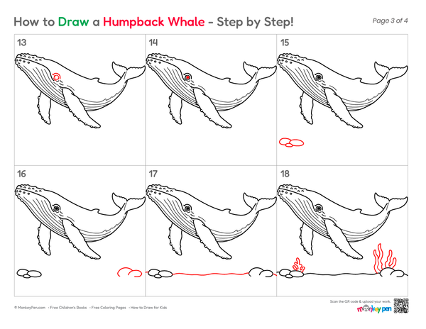 How to Draw a Humpback Whale – Step-by-Step Whale Drawing for Kids
