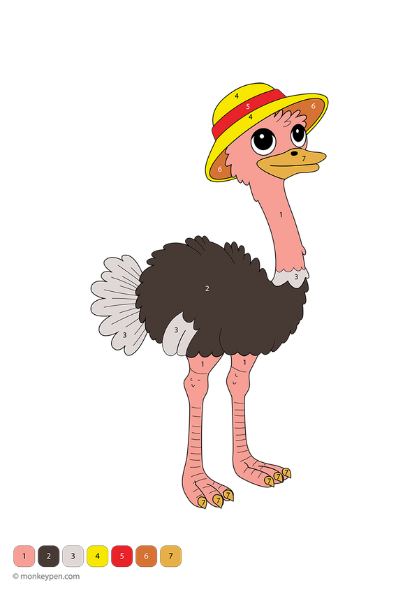 Downloadable ostrich color-by-number worksheet with numbered sections on feathers, beak, and legs—this free printable helps children build number recognition and creativity while learning about unique birds.