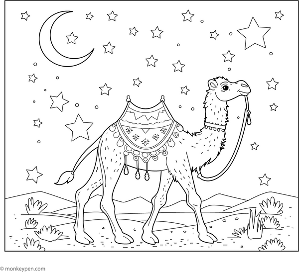 Camel and the Starry Night coloring page – free printable for kids to color and enjoy