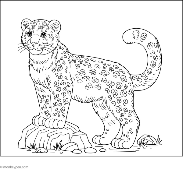 Amur Leopard Coloring Page – fun and educational printable for children