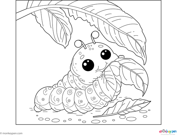 Caterpillar Coloring Book Free PDF