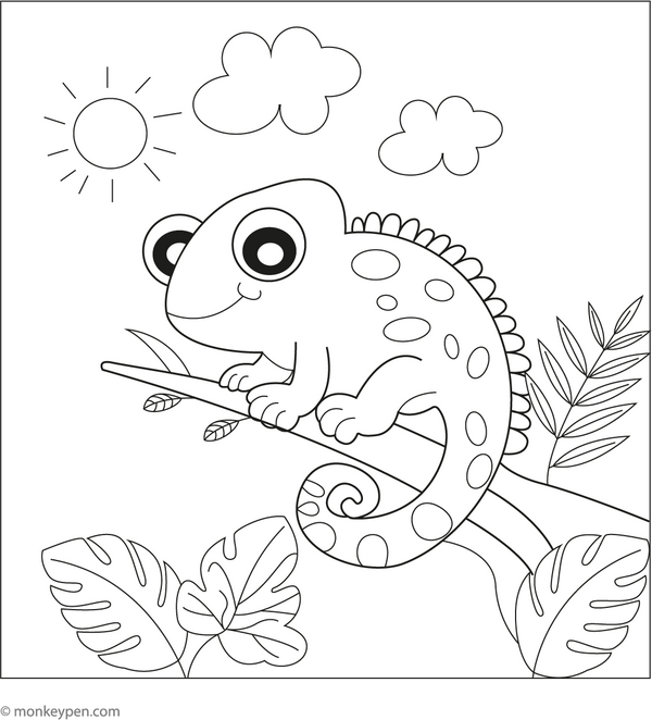 Chameleon Coloring Book