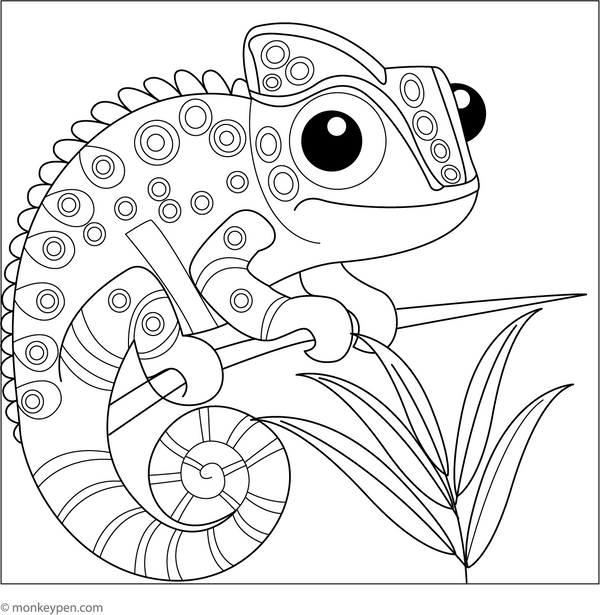 Chameleon Coloring Book