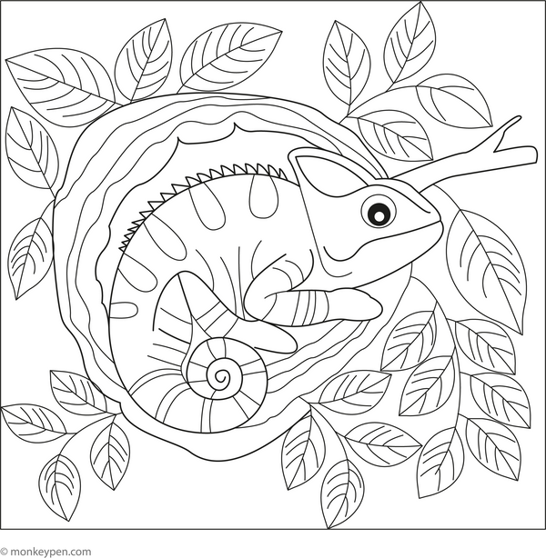 Chameleon Coloring Book