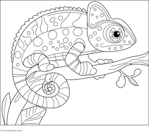 Chameleon on a Branch coloring page – free printable for kids to color and enjoy