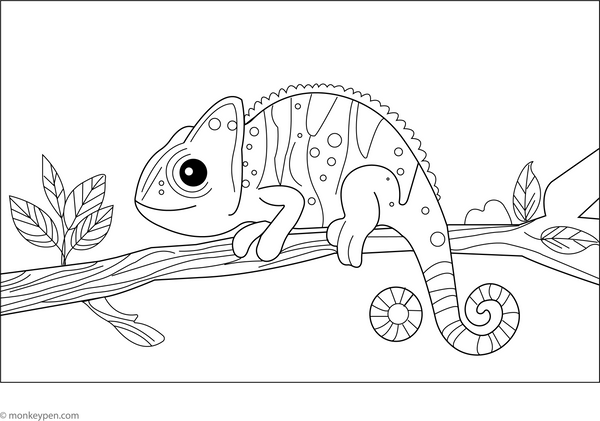 Chameleon Changing colours coloring page – free printable for kids to color and enjoy
