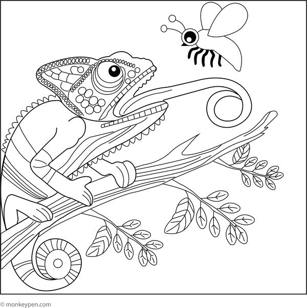Chameleon Catching a Fly coloring page – free printable for kids to color and enjoy
