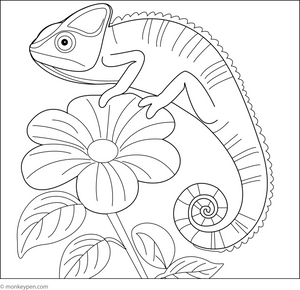 Chameleon on a Flower coloring page – free printable for kids to color and enjoy