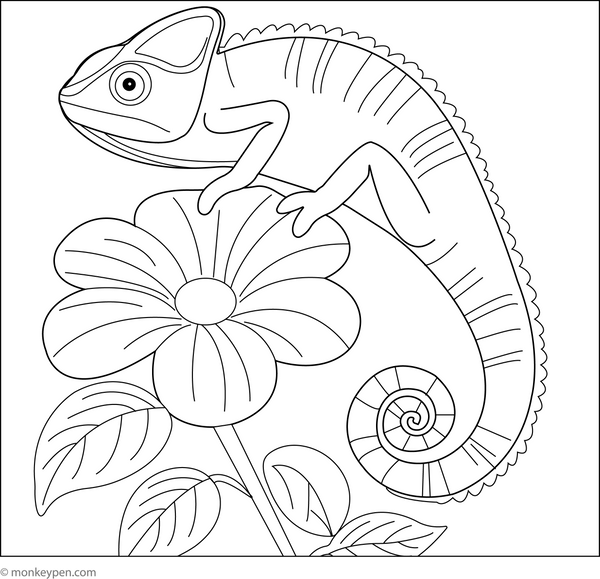Chameleon on a Flower coloring page – free printable for kids to color and enjoy