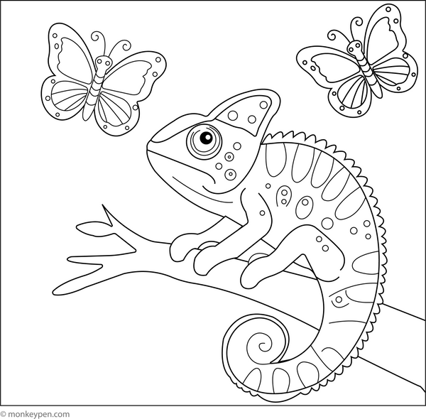 Chameleon and a Butterfly coloring page – free printable for kids to color and enjoy