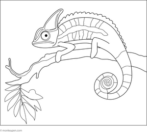 Chameleon in the Rainforest coloring page – free printable for kids to color and enjoy