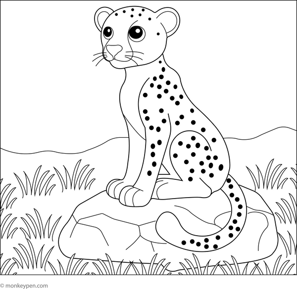 Cheetah on a Rock coloring page – free printable for kids to color and enjoy