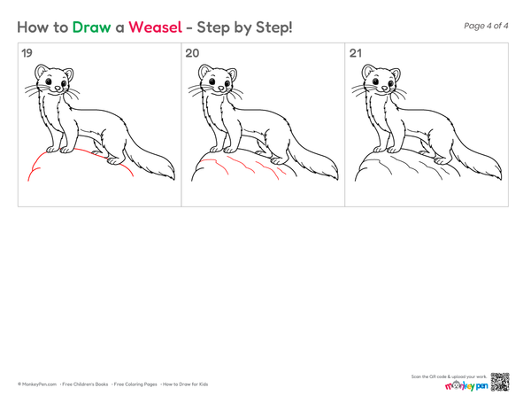 Simple weasel illustration for beginners