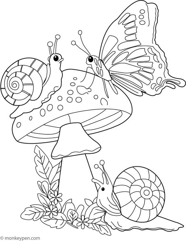 Butterfly and the snail Coloring Page