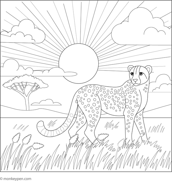 Cheetah and the Sunset coloring page – free printable for kids to color and enjoy