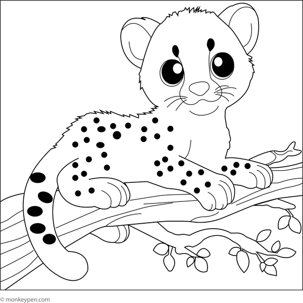 Cheetah on a Tree Branch coloring page – free printable for kids to color and enjoy