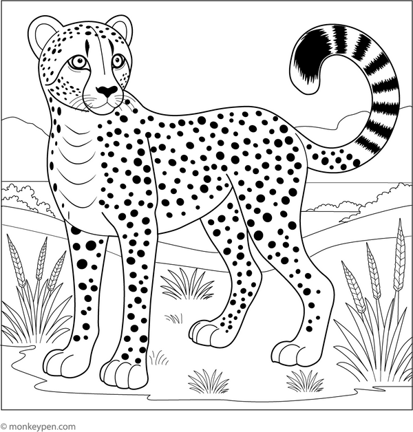 Free Cheetah Coloring Book (Printable PDF)