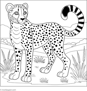 Cheetah with Long Tail coloring page – free printable for kids to color and enjoy