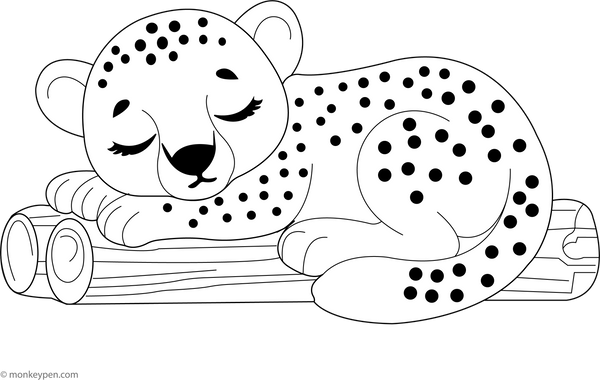 Sleeping Cheetah coloring page – free printable for kids to color and enjoy