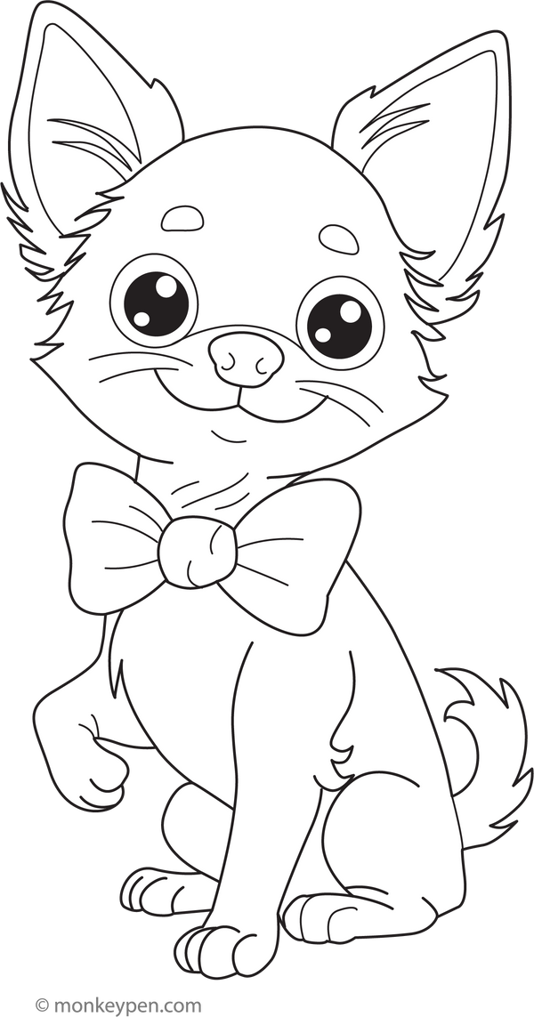 Chihuahua Coloring Book