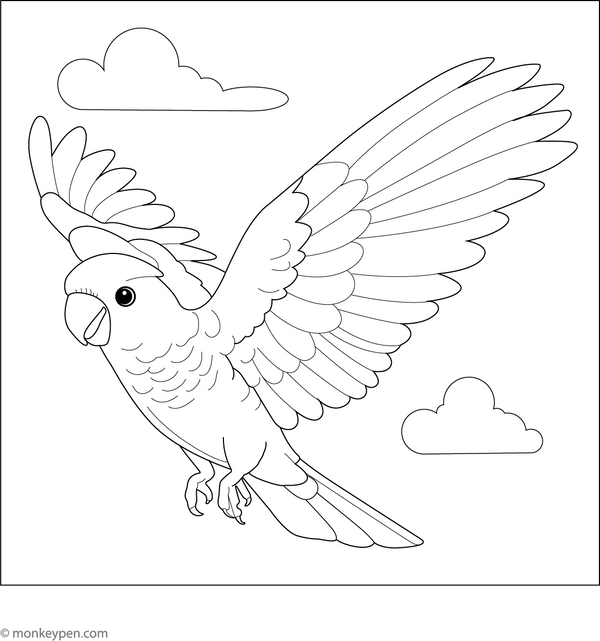 Cockatoo in Flight coloring page – free printable for kids to color and enjoy