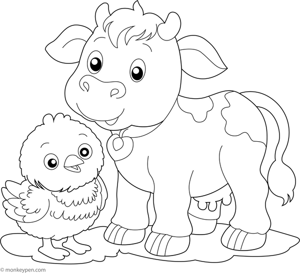 Cow Coloring Book
