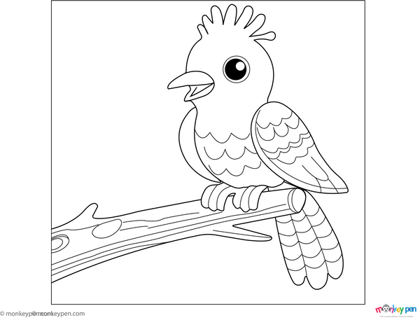 Cuckoo in the Woods coloring page – free printable for kids to color and enjoy