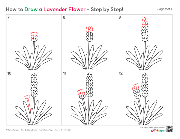How to Draw a Lavender Flower – Simple Step-by-Step Flower Drawing for Kids