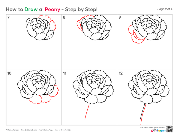 How to Draw a Peony – Easy Step-by-Step Flower Drawing for Kids