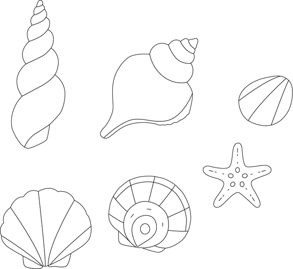 Shell coloring page – fun and educational printable for children