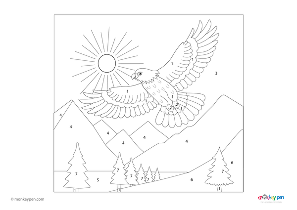 Downloadable color-by-number worksheet of a hawk soaring with wings extended, with numbered areas for feathers, beak, and sky background.