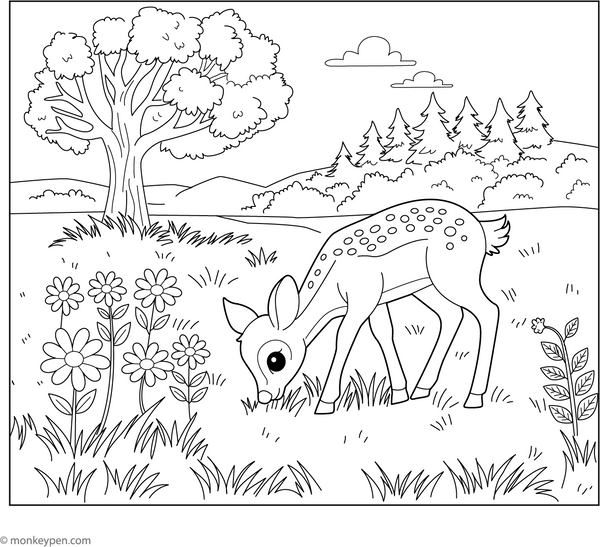 Deer Grazing in a Field coloring page – free printable for kids to color and enjoy