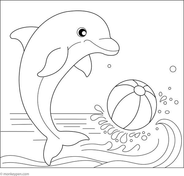 Dolphin Coloring Book